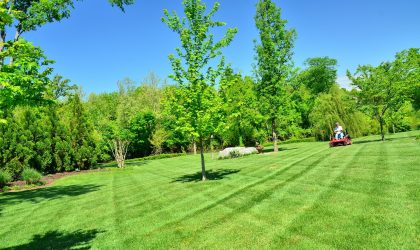 lawn-care-643558_1920